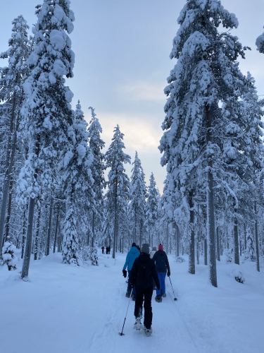 Lumikenkäretki Jaipaljukkaan